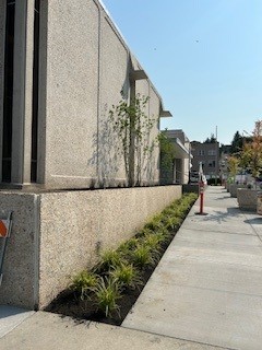landscape install 10th